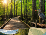Congaree National Park