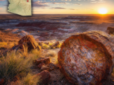 Petrified Forest National Park